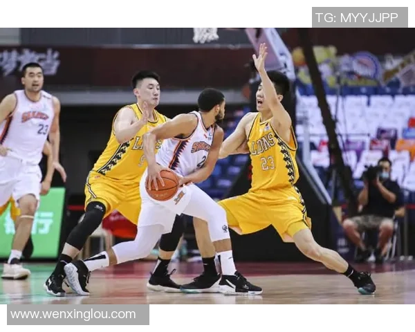 上海东方大鲨鱼与浙江广厦股票行情分析及投资策略探讨